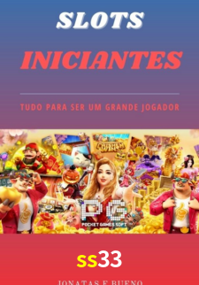 Interface Premium ss33