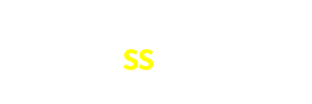 ss33